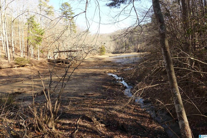 THIS IS A 3.08 ACRE TRACT WITH 654 FEET OF SHORELINE WITH A NICE - photo 2