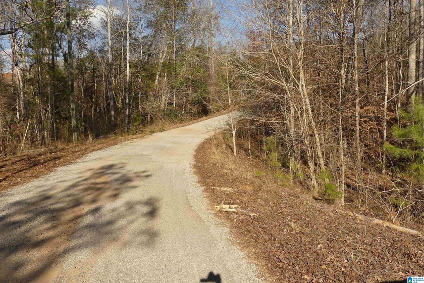 THIS IS A 3.08 ACRE TRACT WITH 654 FEET OF SHORELINE WITH A NICE - photo 7
