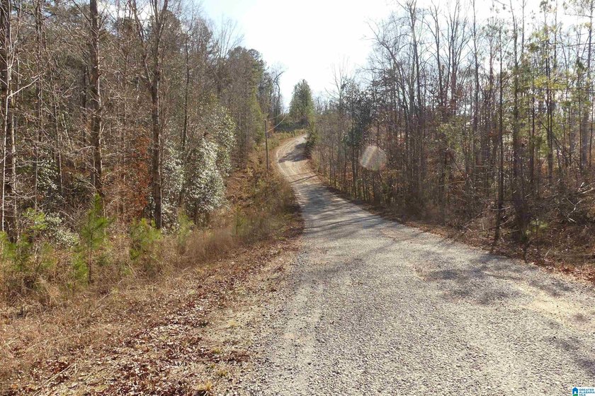 THIS IS A 3.08 ACRE TRACT WITH 654 FEET OF SHORELINE WITH A NICE - photo 8