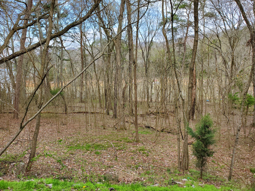 Cherokee Lake Front Building Lot SOLD - photo 8