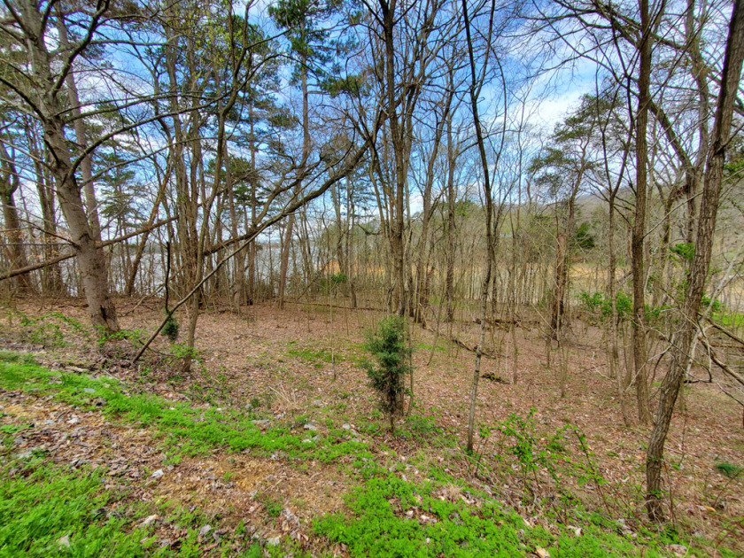 Cherokee Lake Front Building Lot SOLD - photo 12