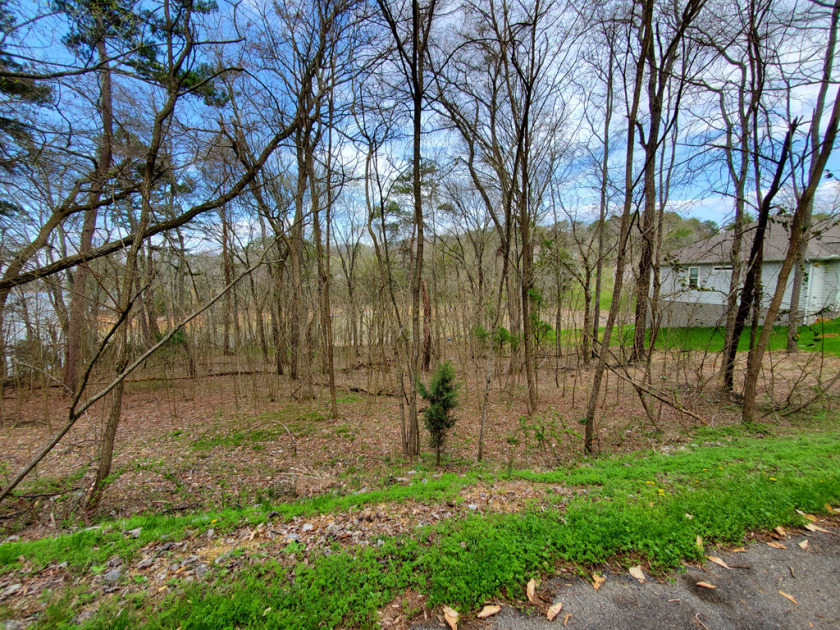 Cherokee Lake Front Building Lot SOLD - photo 10