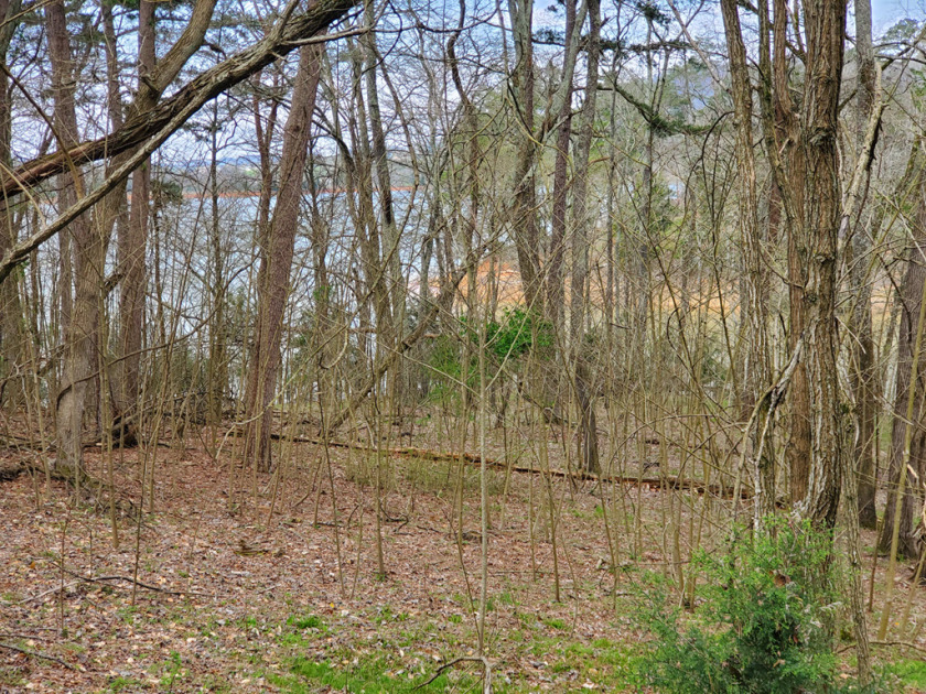 Cherokee Lake Front Building Lot SOLD - photo 13