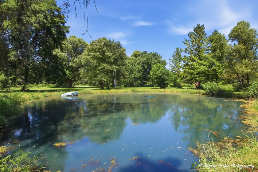 Truly unique property from top to bottom! This 5 bedroom, 3 full - photo 8