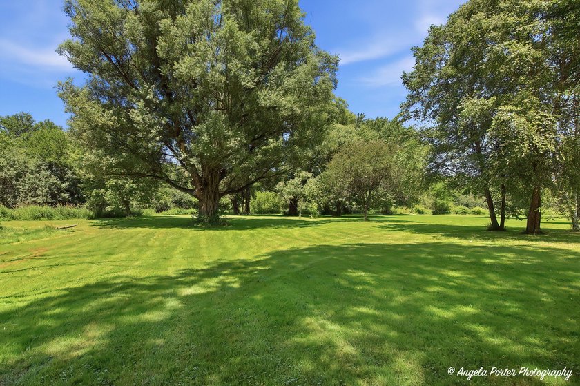 Truly unique property from top to bottom! This 5 bedroom, 3 full - photo 9