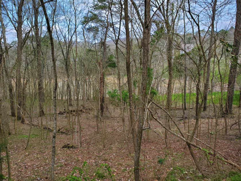 Cherokee Lake Front Building Lot SOLD - photo 15