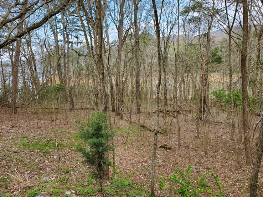 Cherokee Lake Front Building Lot SOLD - photo 14