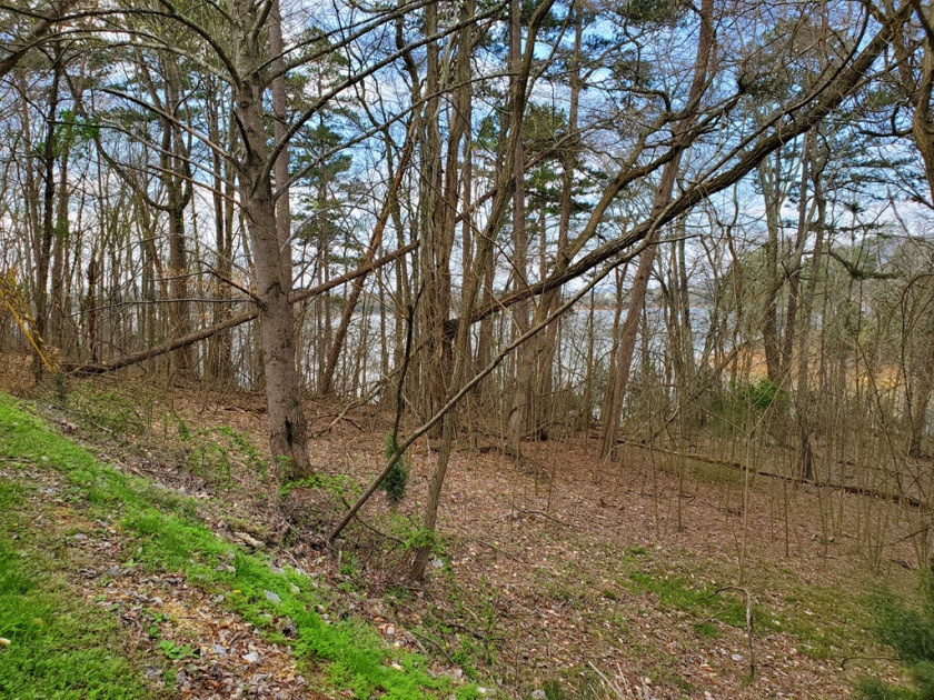 Cherokee Lake Front Building Lot SOLD - photo 16