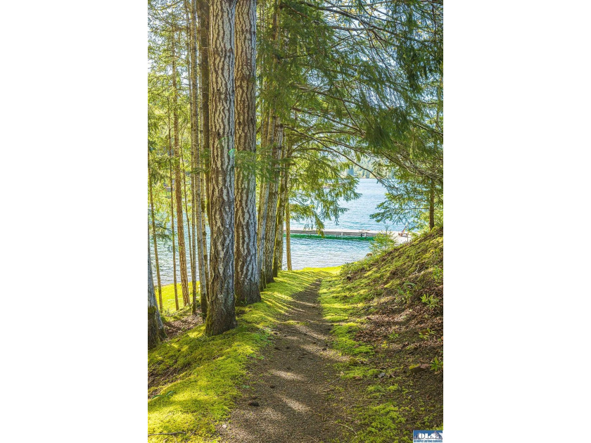 Welcome to lake life at Mallard Cove on Lake Sutherland! This 2 - photo 33