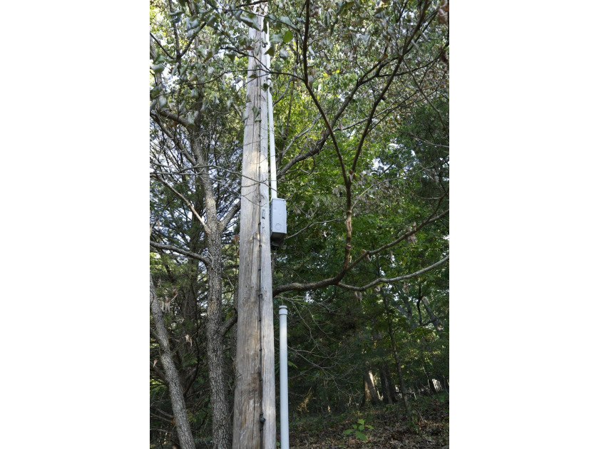Land For Sale in Near Lake Of The Ozarks MissouriWholesale - photo 10