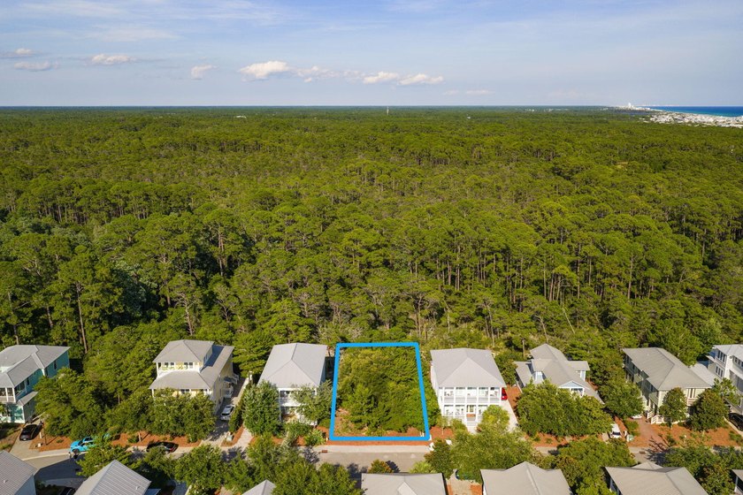 Build your dream coastal retreat in The Preserve at Grayton - photo 3