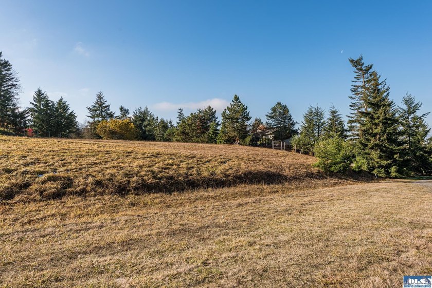 Beautiful 1.1 acre building lot near the top of Bell Hill in - photo 17