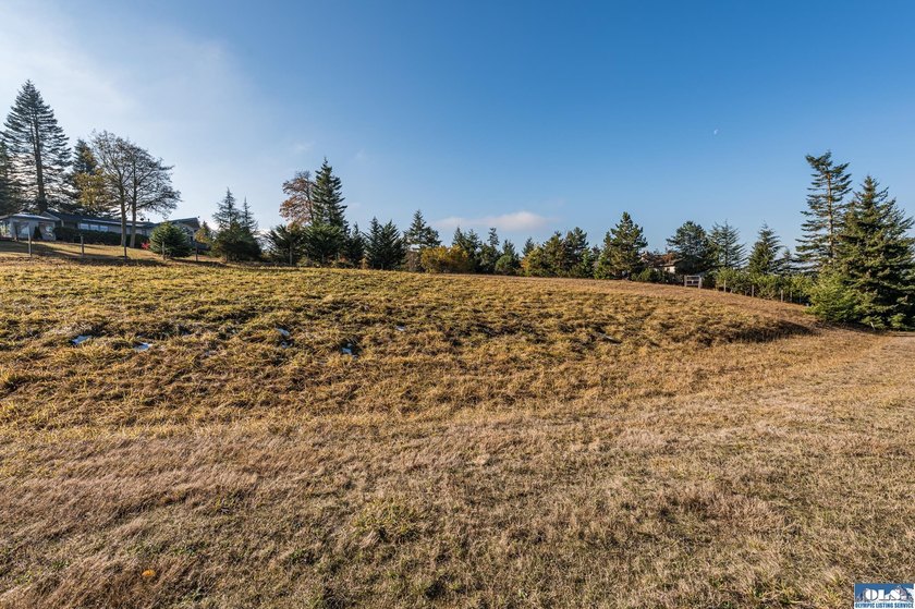 Beautiful 1.1 acre building lot near the top of Bell Hill in - photo 23