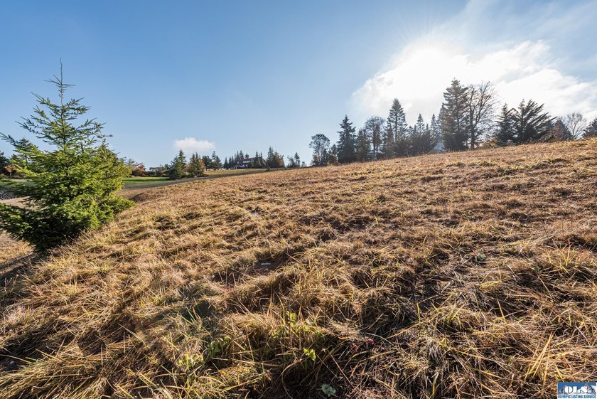 Beautiful 1.1 acre building lot near the top of Bell Hill in - photo 32