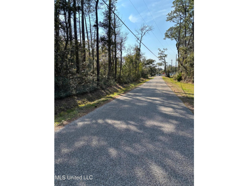 Walking distance to the beach in Pass Christian. Beautiful quiet - photo 2