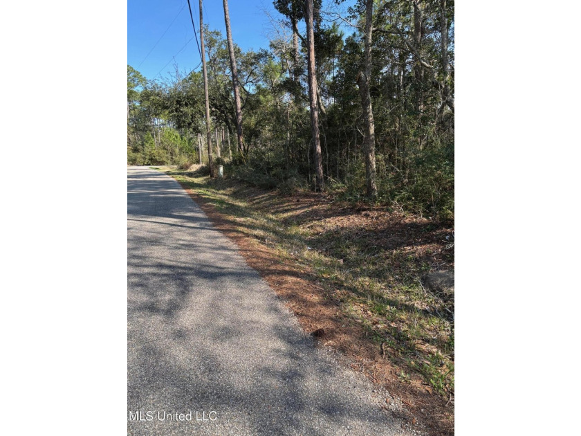 Walking distance to the beach in Pass Christian. Beautiful quiet - photo 4