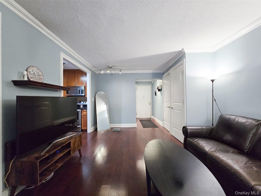 1bed, 1beth , can be Jr 4 ! use like 2 bed rooms or separate - photo 7