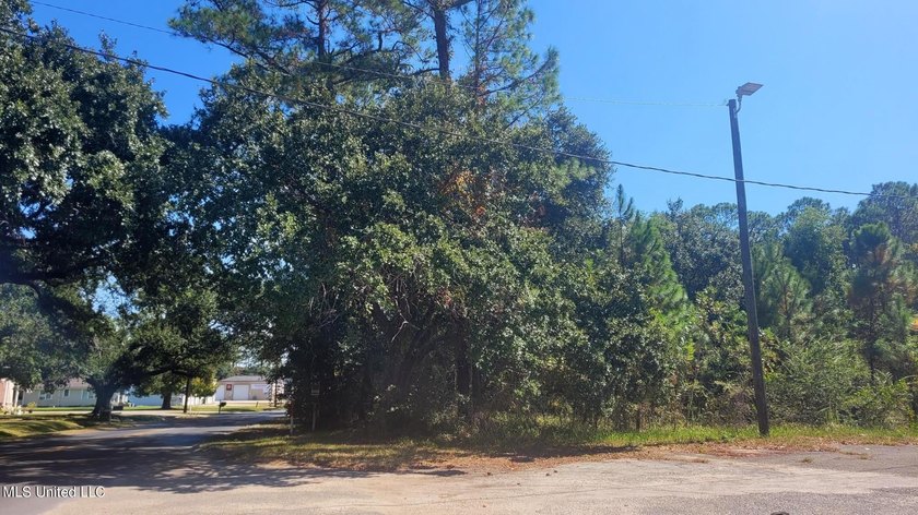 ''Central Park'' Subdivision Lots 1-19 with 475' frontage on - photo 12