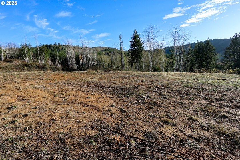 Beautiful 2.61-Acre Golf Course Lot in Ironwood Estates - - photo 6