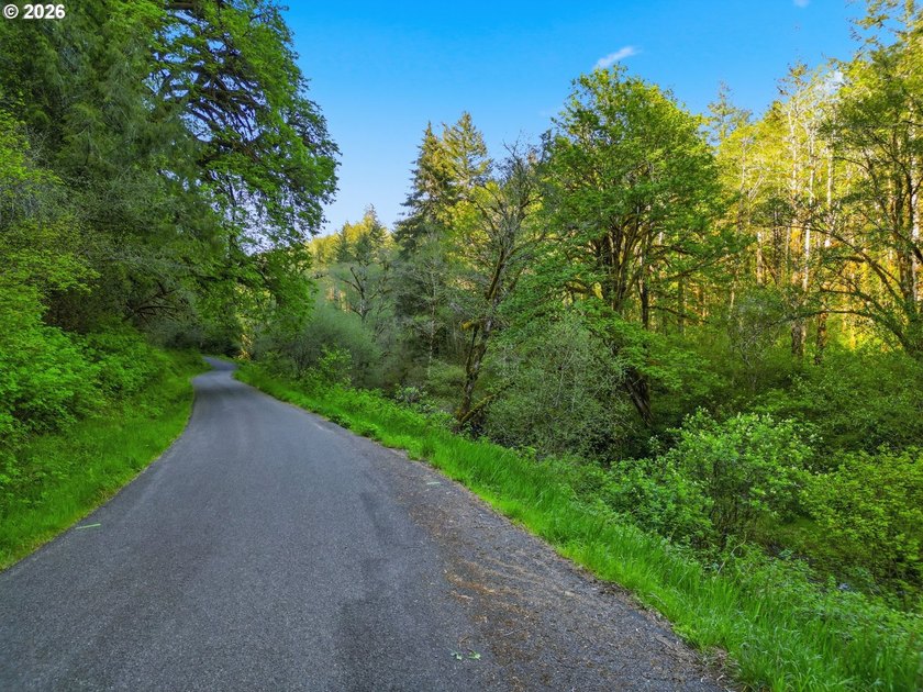Own a piece of paradise on the upper North Fork River.Zoned F2 - photo 12
