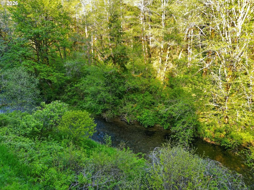 Own a piece of paradise on the upper North Fork River.Zoned F2 - photo 13