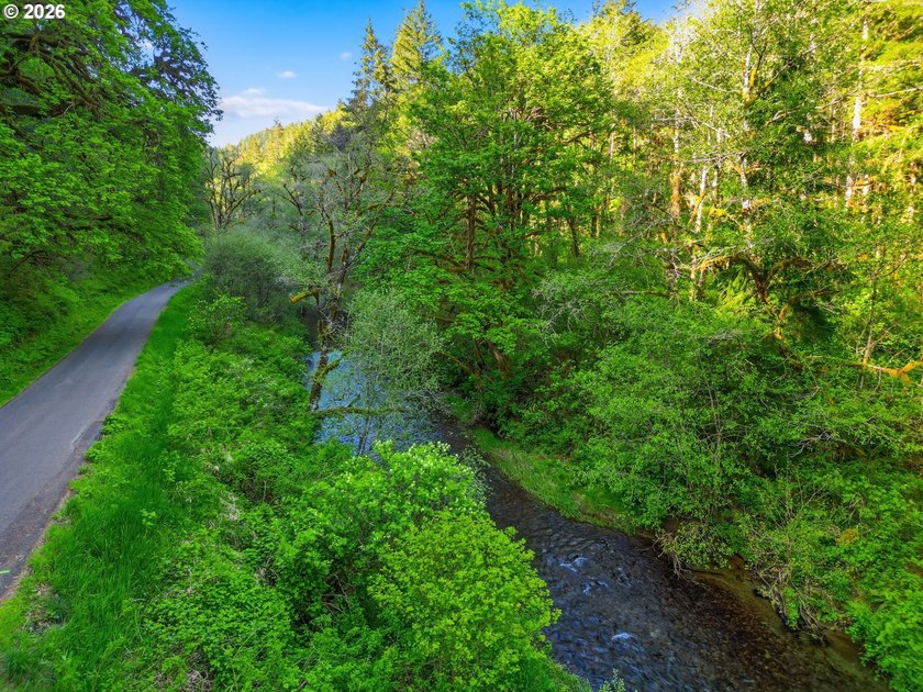 Own a piece of paradise on the upper North Fork River.Zoned F2 - photo 14