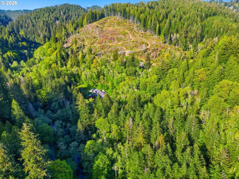 Own a piece of paradise on the upper North Fork River.Zoned F2 - photo 18