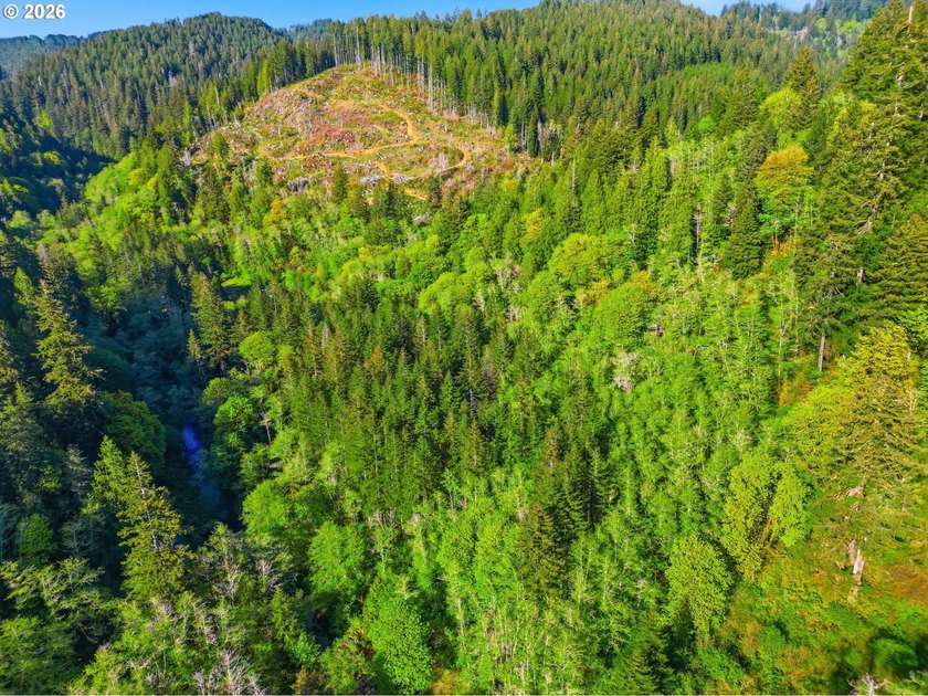 Own a piece of paradise on the upper North Fork River.Zoned F2 - photo 20