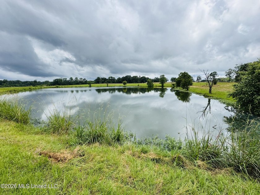 Discover peaceful country living in the heart of the Gillsburg - photo 35