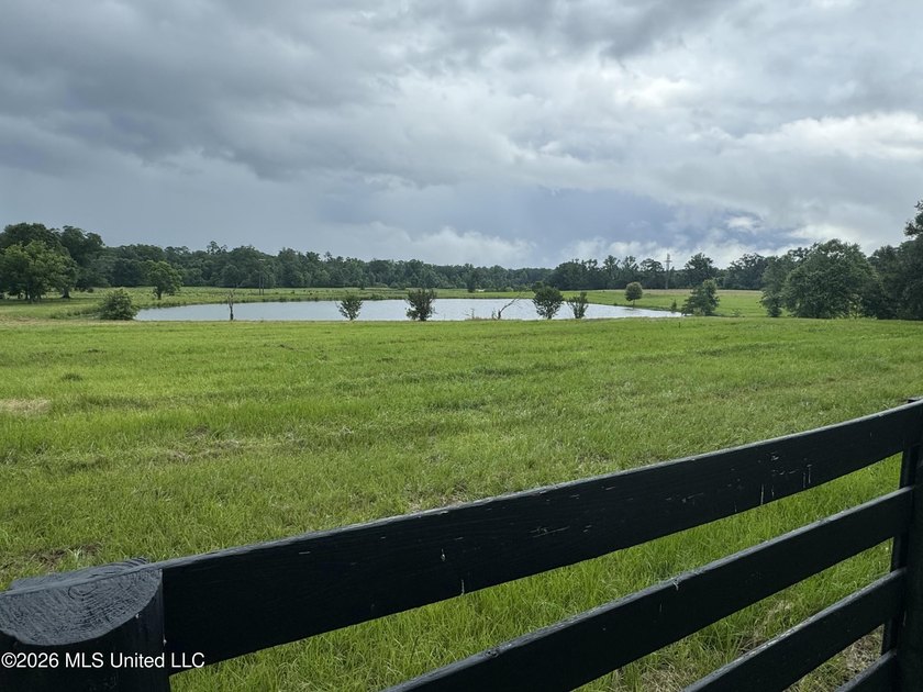 Discover peaceful country living in the heart of the Gillsburg - photo 38