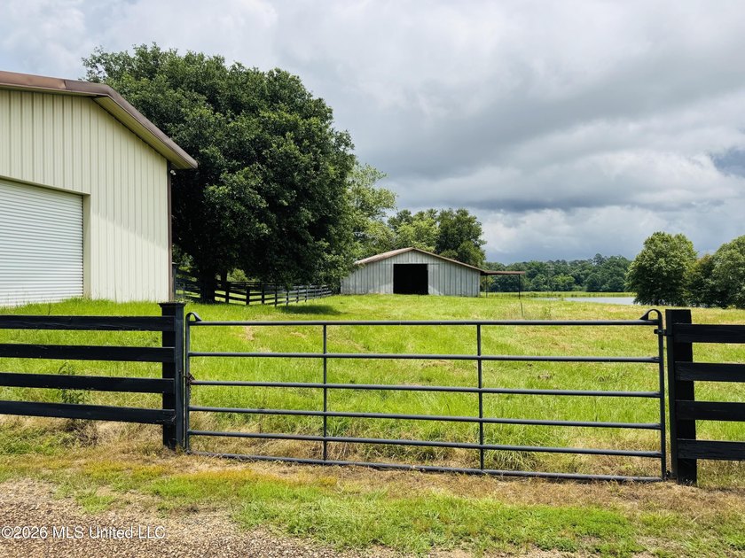Discover peaceful country living in the heart of the Gillsburg - photo 42