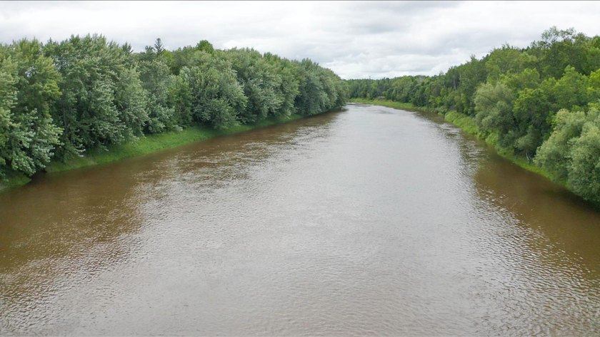 Amazing opportunity to own 119 acres of prime wooded real estate - photo 4