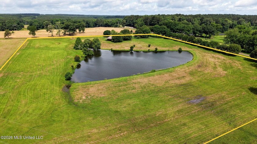 Discover peaceful country living in the heart of the Gillsburg - photo 46