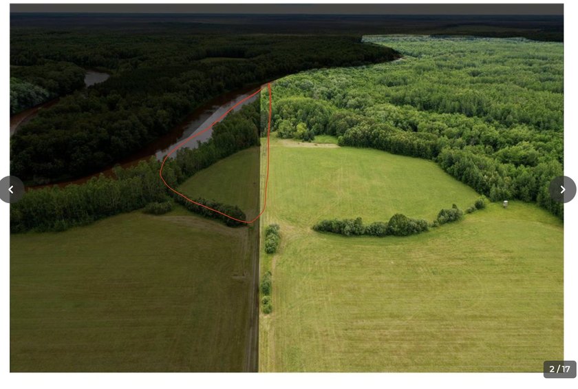 Amazing opportunity to own 119 acres of prime wooded real estate - photo 6