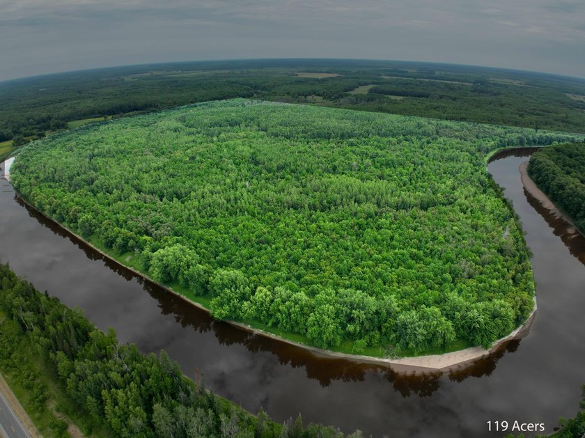Amazing opportunity to own 119 acres of prime wooded real estate - photo 7