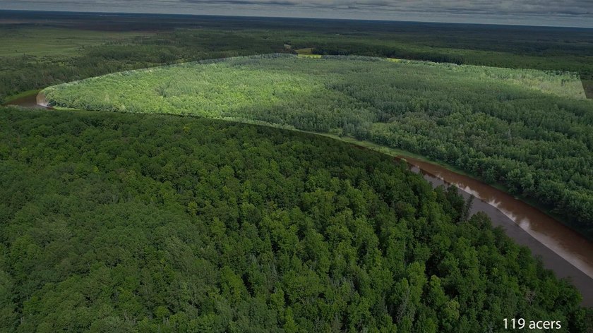 Amazing opportunity to own 119 acres of prime wooded real estate - photo 10