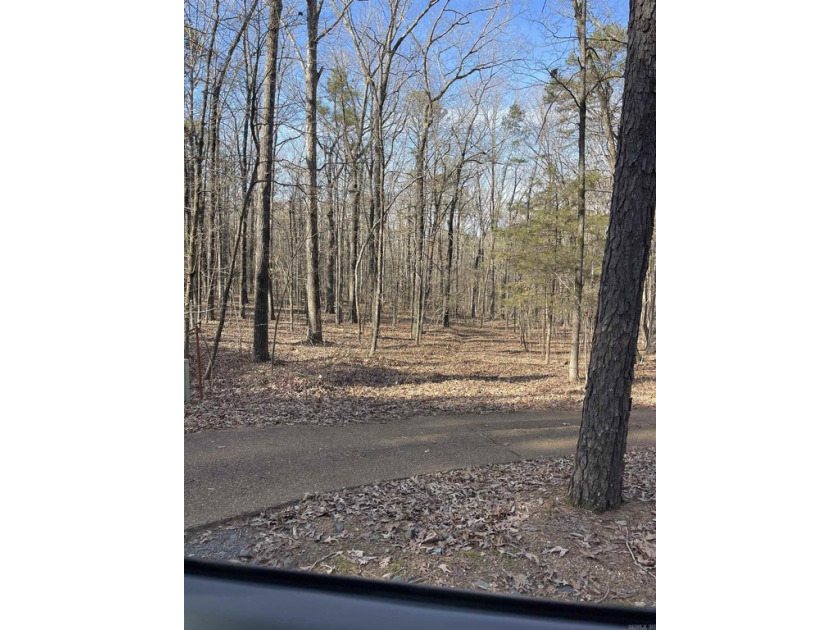 Lot 322 backs up to the Golf Course in Tannenbaum Subdivision on - photo 5