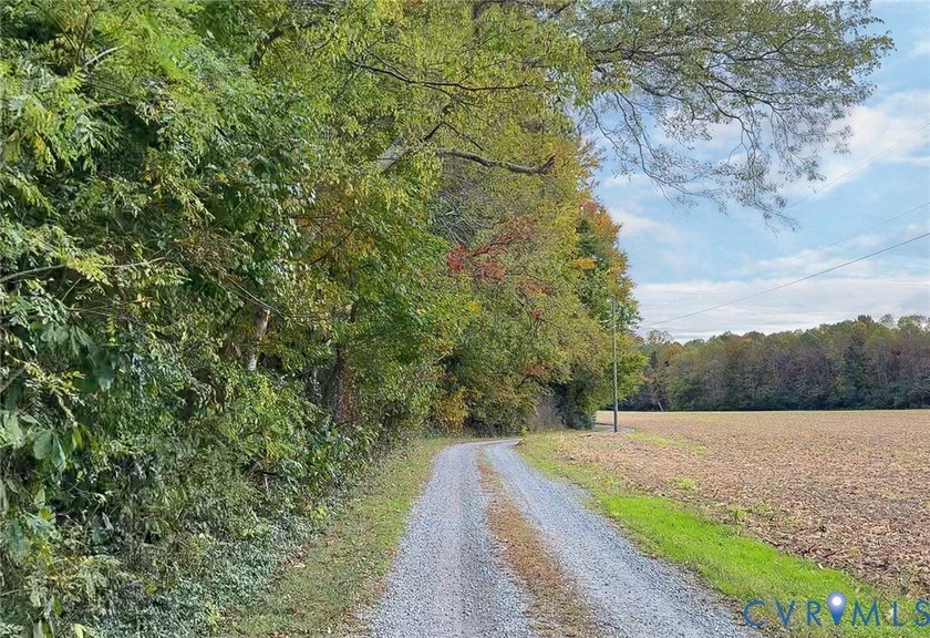This period Tidewater Farmhouse, which has seen numerous - photo 17