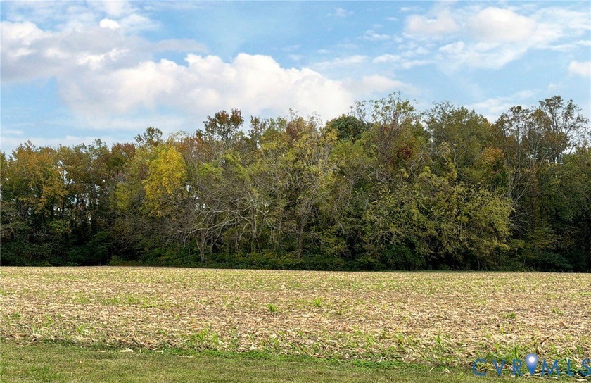 This period Tidewater Farmhouse, which has seen numerous - photo 20
