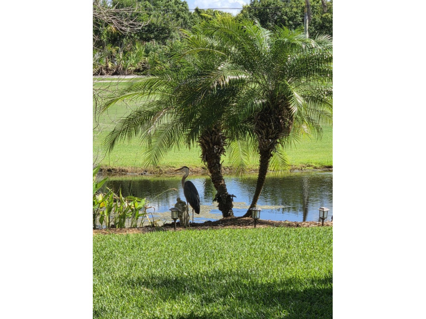 Discover luxury living in Palm Cove Golf &amp; Yacht Club in this - photo 39