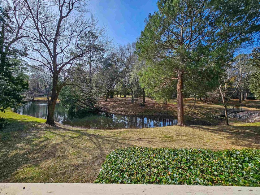 DON'T MISS OUT ON THIS OPPORTUNITY of a ground floor villa with - photo 4