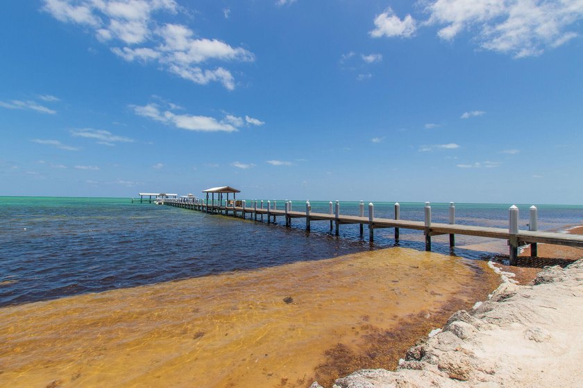 Exquisite Oceanfront Historic Cheeca Lodge Resort and Spa in - photo 22