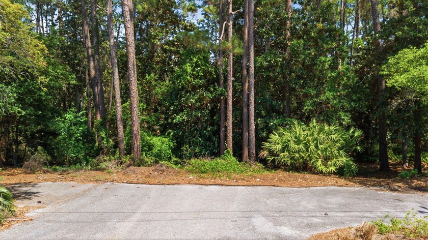 Rare 30A Developer Opportunity: Two Gulfview Heights Lots for - photo 2