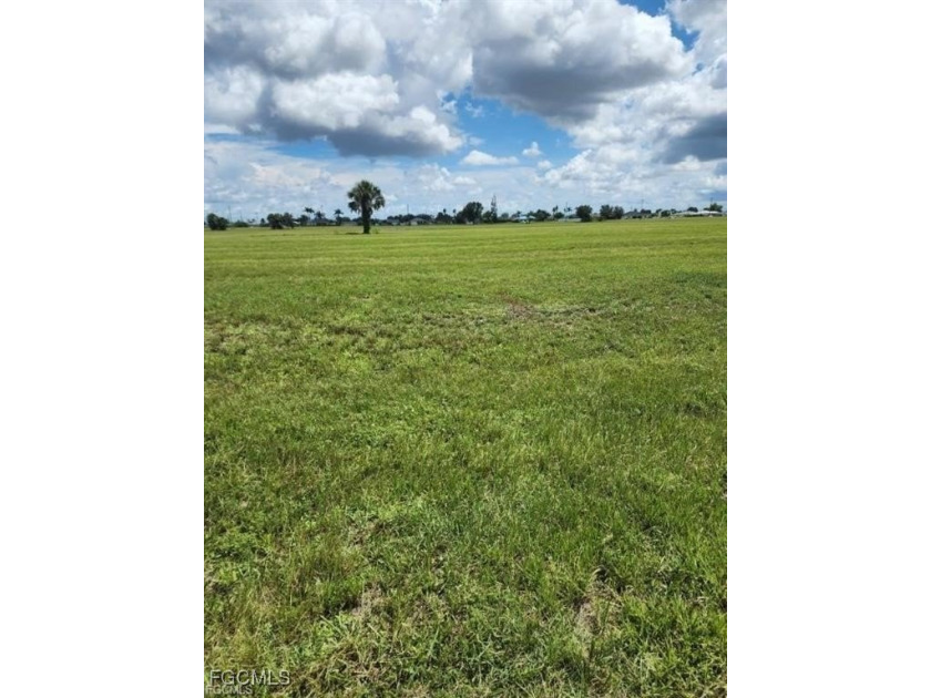 Commercial vacant lot in NE Cape Coral zoned P1-D - photo 2