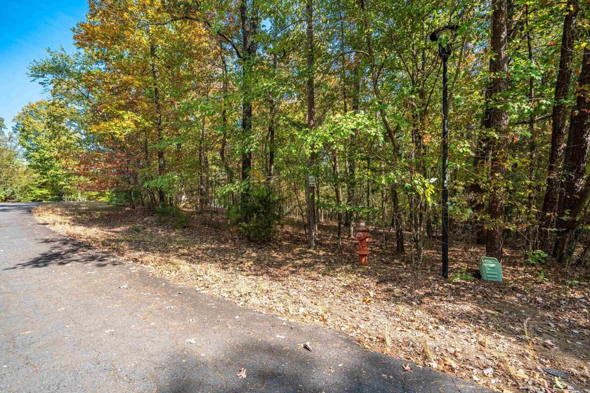 Side by side lots with a view of Lake Cortez. View is from the - photo 8