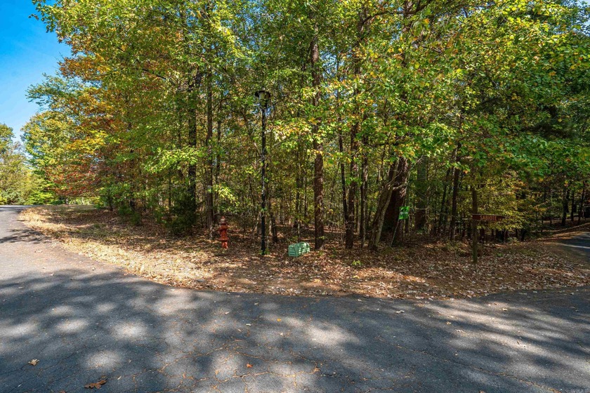 Side by side lots with a view of Lake Cortez. View is from the - photo 9