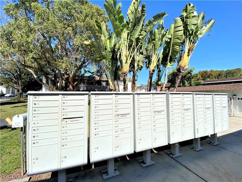 Looking for that fresh vibrant *move-in ready* energy? A RARE - photo 49