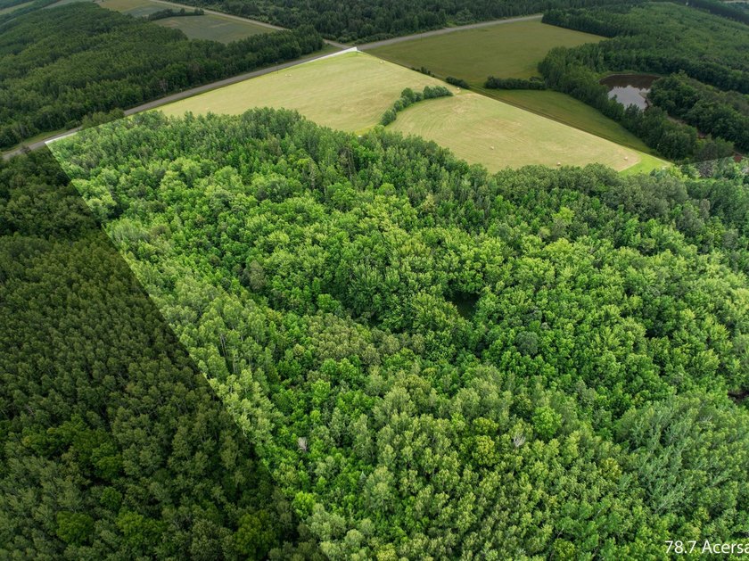 Fantastic opportunity to own nearly 80 acres of pristine - photo 2