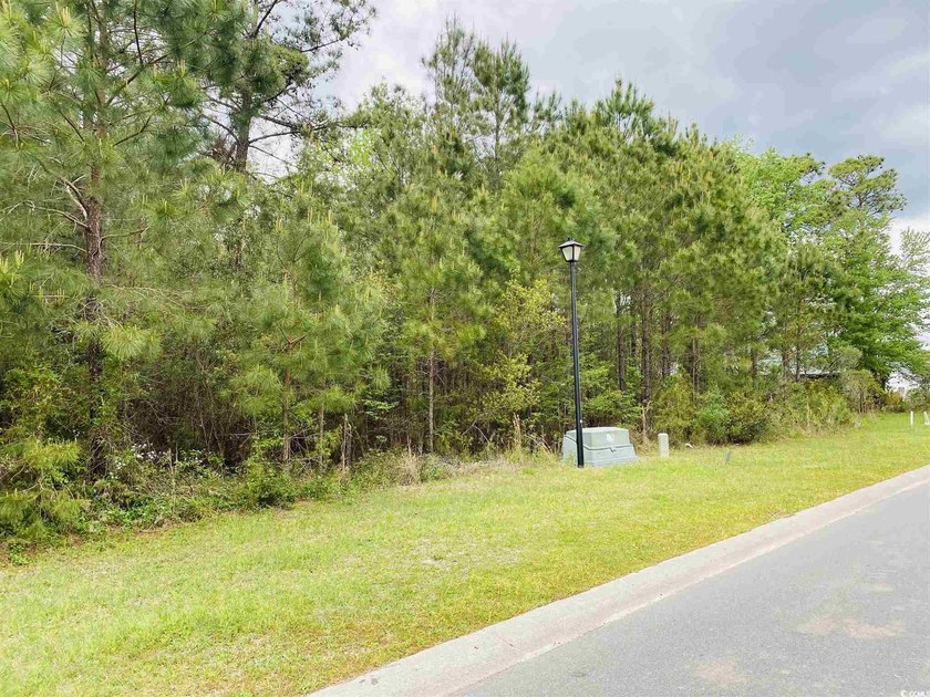 Fantastic Commercial lot located in Queens Harbour Professional - photo 10