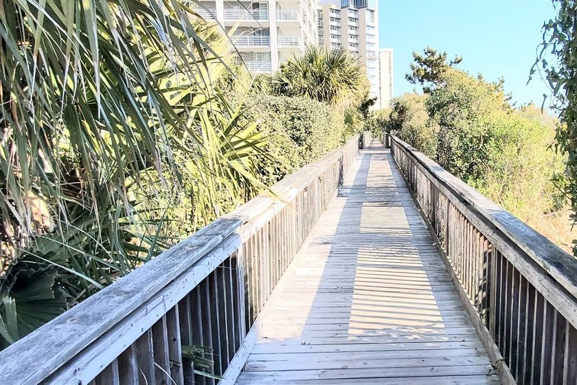 Please check out virtual tour. This property has a very healthy - photo 2
